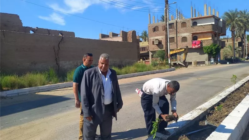 زراعة 70 شتلة من أشجار الكينو كاربس بطريق الحمر والجعافرة في قنا (صور)