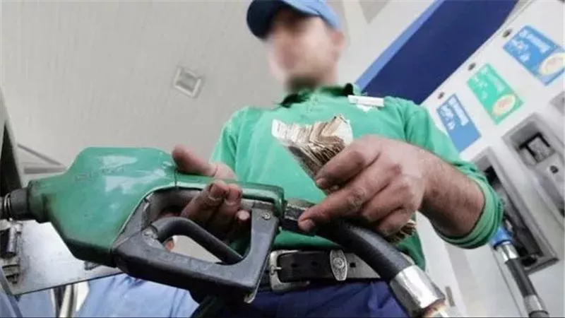 أسامة وطني يكشف أسباب تلف 