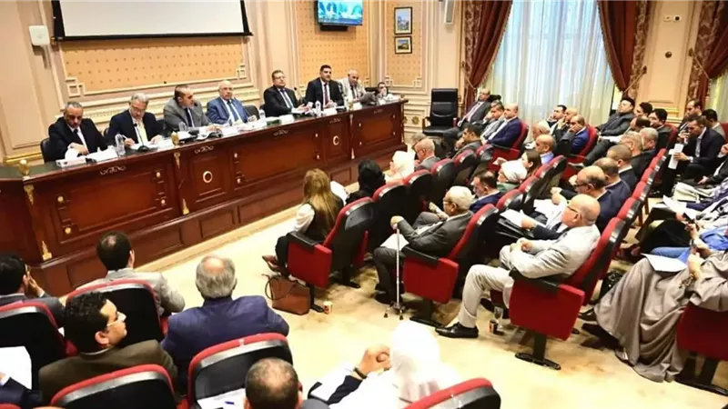 محمود فوزي: تحركات تشريعية استجابة لحكم المحكمة الدستورية