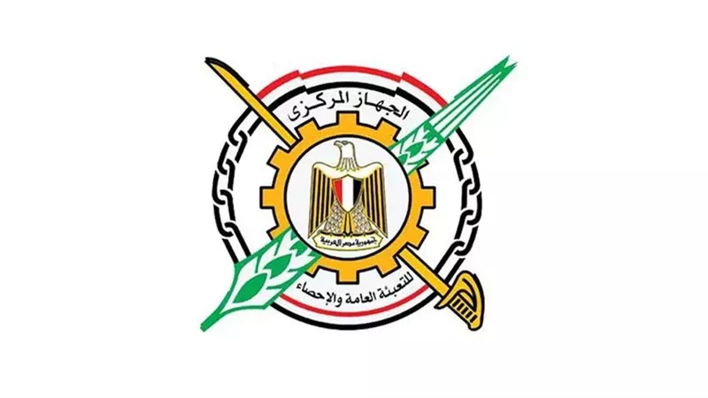 التعبئة والإحصاء: تراجع وفيات وإصابات الحرائق بمصر خلال عام 2025