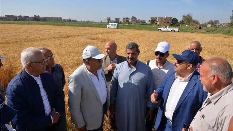 أنا هنا لأستمع إليكم.. محافظ الدقهلية يلتقى بالمزارعين وسط حقول القمح 