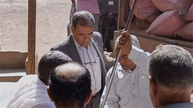  بـ182 ألف طن.. المنيا تسجل أرقامًا قياسية في توريد القمح لعام 2025