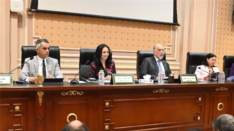 بعد موافقة تضامن النواب على الموازنة.. بنك ناصر: ندعم حوالي 40 مليون مواطن