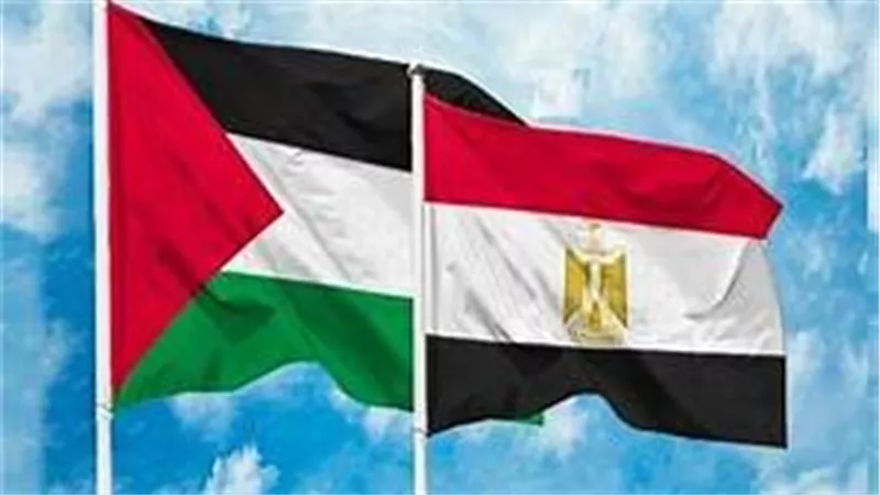 الدويري: 80% من مساعدات غزة منذ بداية الأزمة مصدرها مصر