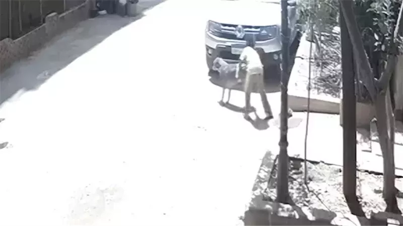 إخلاء سبيل الطفل السوداني في واقعة تحرش بكلبة في الأهرام 