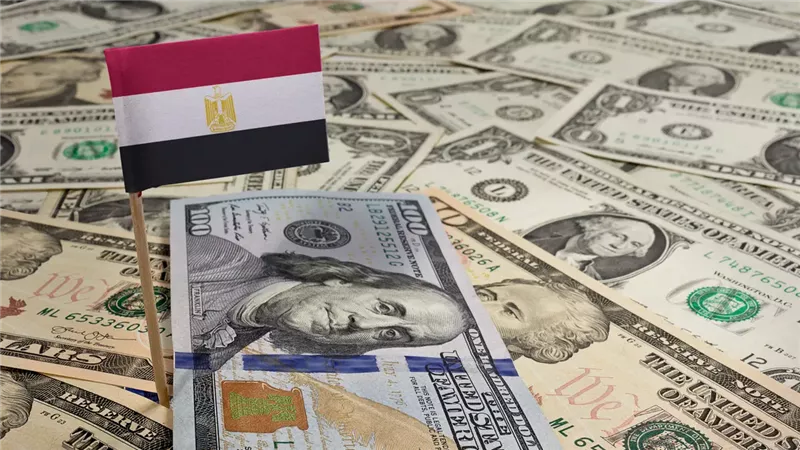 خبيرة اقتصادية: احتياطي النقد الأجنبي فى مصر يقفز إلى 48 مليار دولار