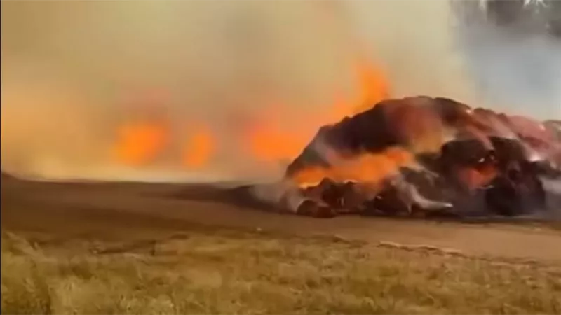 المحصول كله ولع.. اندلاع حريق هائل في أرض مزروعة بالقمح في المنيا