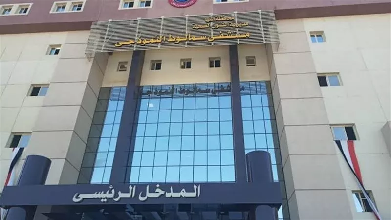 بسبب السرعة الزائدة.. مصرع شخص وإصابة 9 آخرين في تصادم سيارتين في المنيا