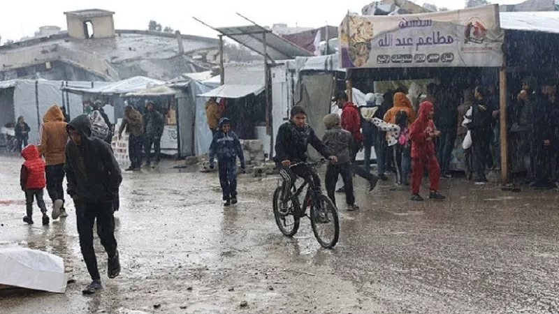 إبادة ممنهجة.. رتيبة النتشة تكشف تفاصيل الكارثة الصحية والمعيشية فى غزة