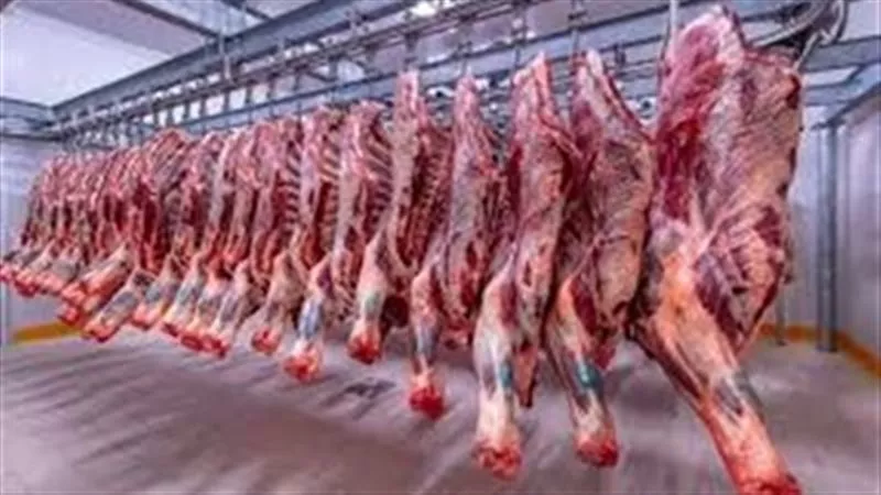  استعدادا لعيد الاضحي..التموين تطرح لحوماً سودانيةوخرافاًحيةفي المجمعات
