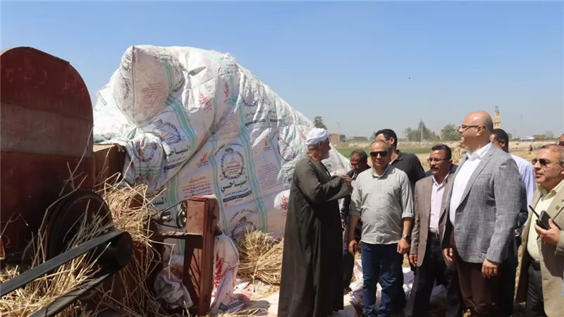 محافظ القليويبة: توريد 41365.906 طن من القمح بنسبة مئوية بلغت 86.1% 