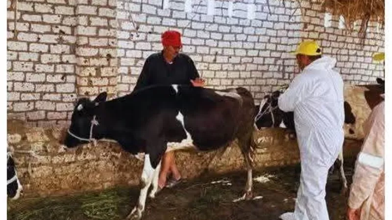 محافظ الإسماعيلية يتابع نشاط مديرية الطب البيطري خلال شهر أبريل