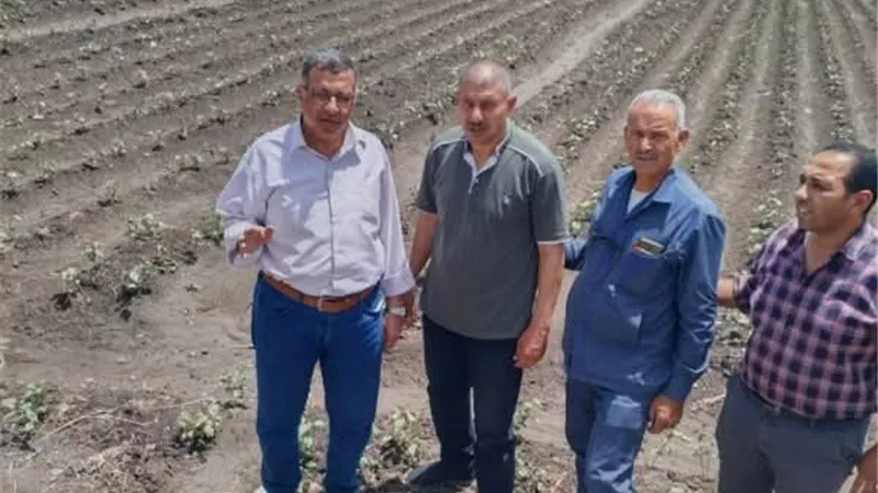 محافظ الشرقية: الندوات الإرشادية تساهم في رفع مستوى المعيشة للفلاح