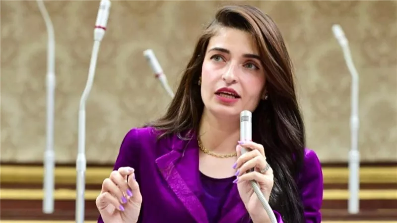 «حينما يصبح خشب الشجر أهم من البشر».. إيرين سعيد تفتح النار على قطع الأشجار
