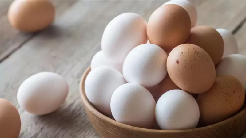 رغم فوائده الكثيرة.. هل البيض خطر على مرضى الكوليسترول؟ إليك الحقيقة الكاملة