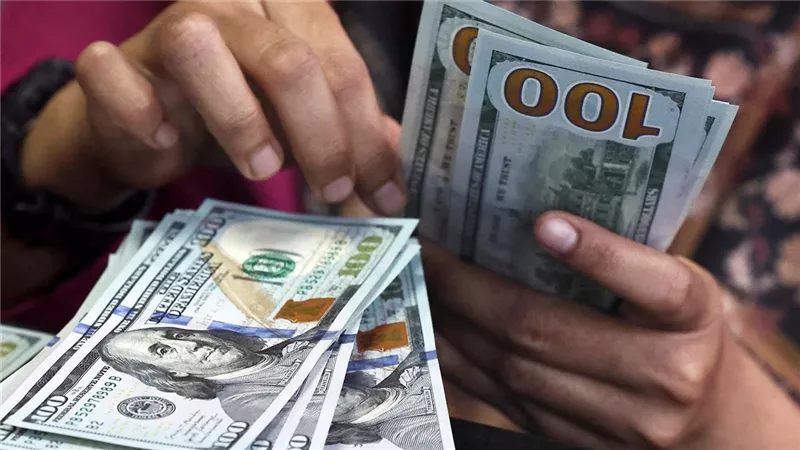 تحويلات المصريين بالخارج تحقق قفزة تاريخية وتصل إلى 29.4 مليار دولار