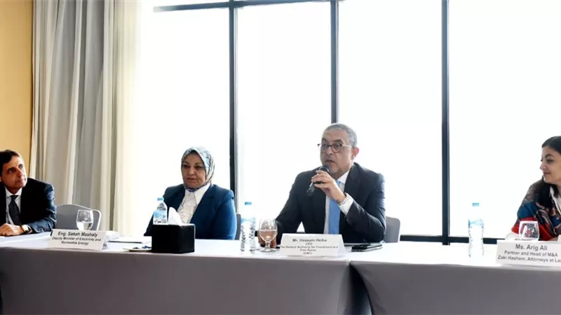 حسام هيبة: نجاح الدولة في قطاع الطاقة المتجددة يحفز جذب الاستثمارات في السوق