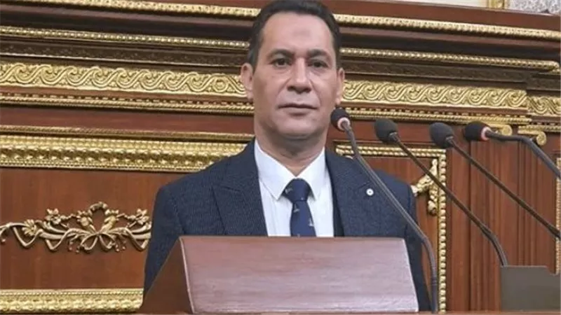 أحمد عاشور: الإخوان الإرهابية تتوهم إسقاط الدولة.. ومصر أقوى من مؤامراتهم