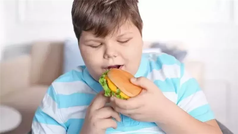 كيف تحمين أطفالك من الإفراط في تناول اللحوم خلال عيد الأضحى؟