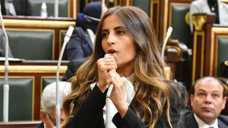 خارجية النواب: إسرائيل تضرب بالقانون الدولي عرض الحائط بإعلان احتلال غزة