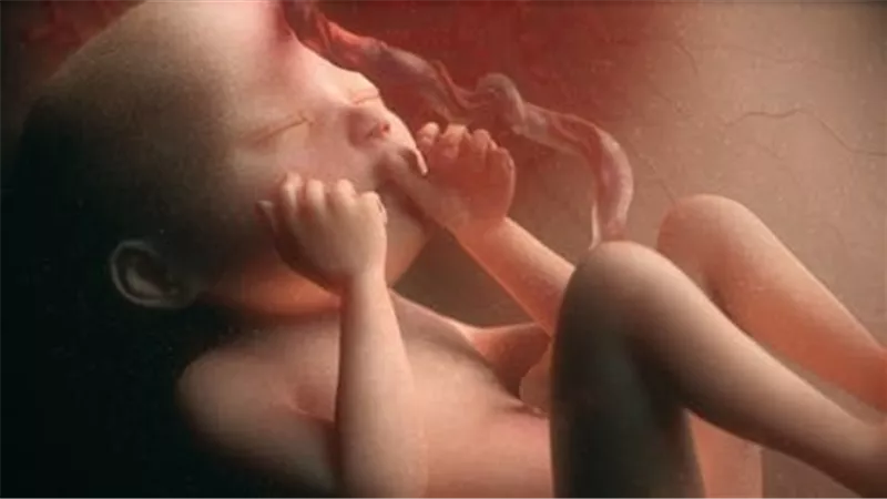 اتفقت أنا وزوجتي حتى تتحسن ظروفنا.. هل تأجيل الحمل حلال أم حرام؟