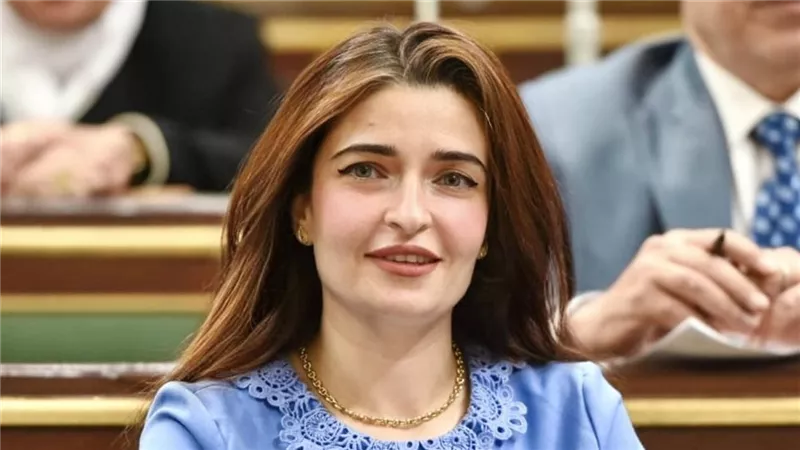  النائبة إيرين سعيد: وصلتنا شكاوى عن باقة الإنترنت المنزلي وأنا لمستها بنفسي 