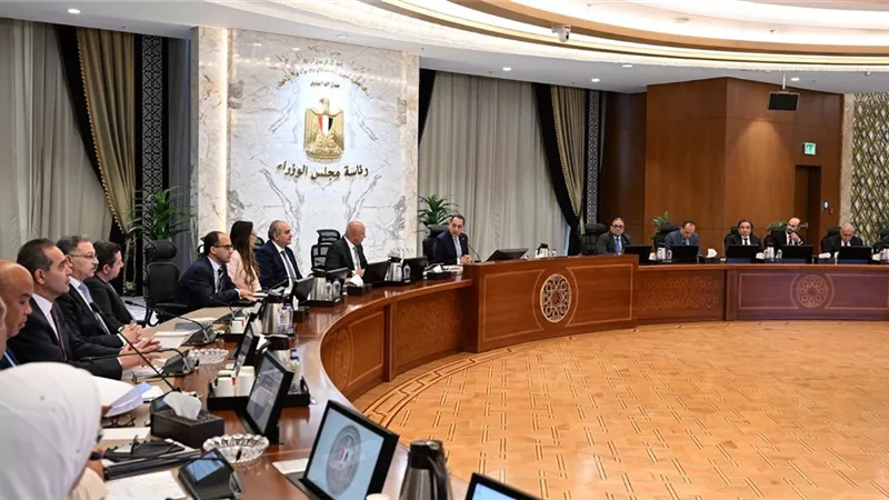 أيمن العشري خلال اجتماع الوزراء: دعم الشحن وتوسيع التصدير ضرورة وطنية