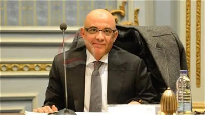برلمانى :زيادة التحويلات تؤكد أن المصريين بالخارج أكبر قوة داعمة للدولة 
