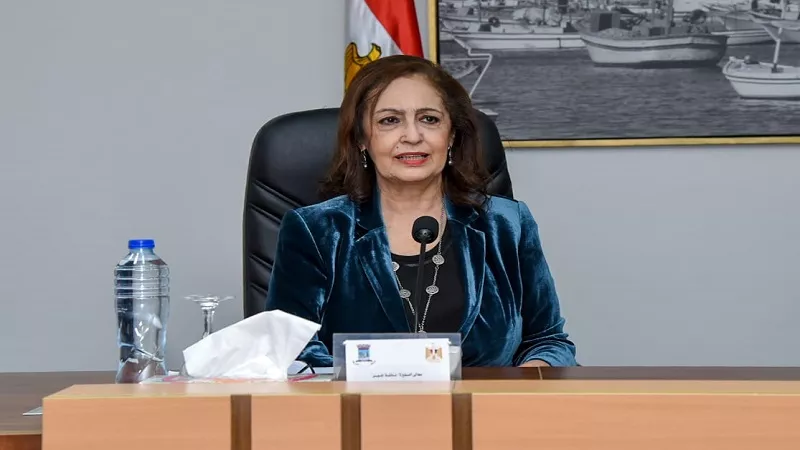 نائلة جبر: مصر تقود حربًا شاملة ضد الهجرة غير الشرعية|فيديو