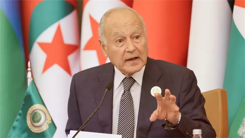 أبو الغيط: القضية الفلسطينية تظل قضية الأمة العربية بأكملها
