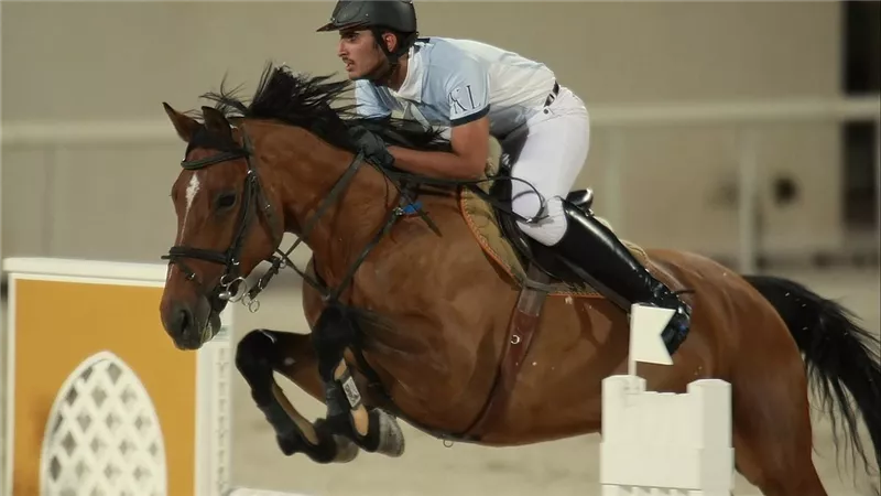 رئيس نادي فروسية الجزيرة: مصر منبع الخيل العربي الأصيل|فيديو