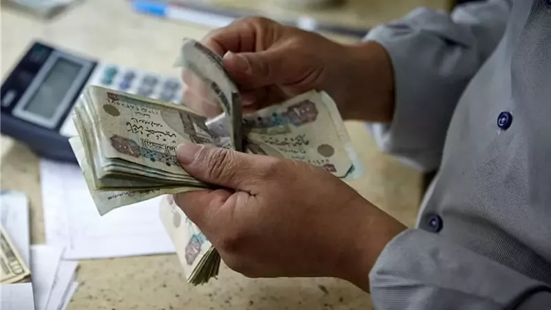 رابط حجز كشف تكافل وكرامة 2026.. كل التفاصيل بالرقم القومي
