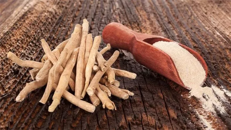 فوائد عشبة الأشواجندا.. تُعزّز النوم وتُخلّصكِ من التوتر