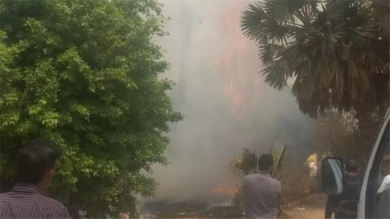 بجوار رابعة العدوية.. حريق هائل يلتهم حديقة بمدينة نصر 