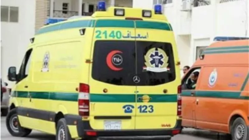 بالأسماء .. مصرع وإصابة 22 عامل زراعي إثر إنقلاب سيارة عمالة بالبحيرة