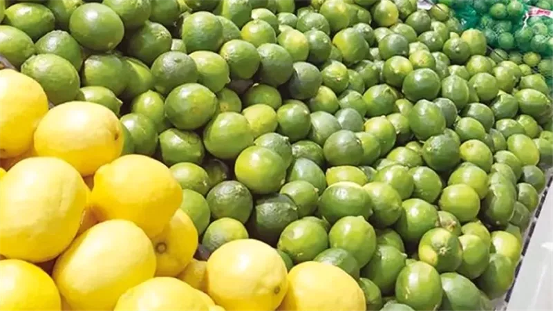 ارتفاع جنوني فى أسعار الليمون يثير غضب المواطنين.. والتجار يوضحون الأسباب