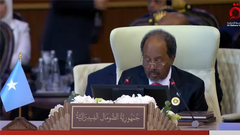 الرئيس الصومالي : شعبنا خاض مسيرة شاقه لإعادة بناء دولته